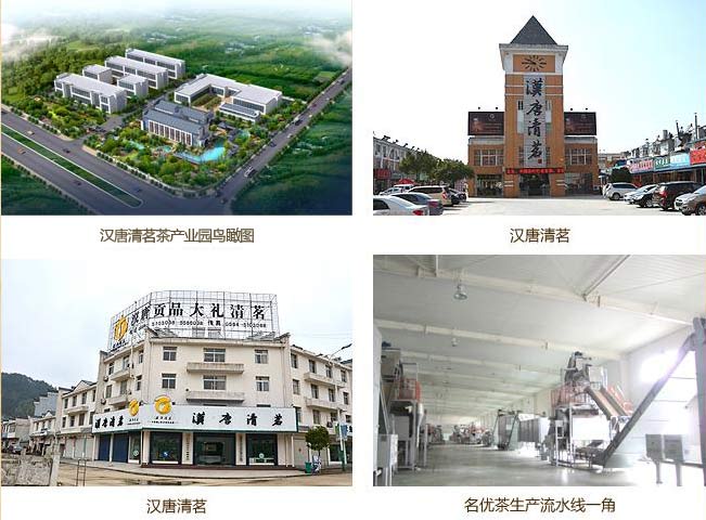 安徽霍山漢唐清茗茶葉 安徽霍山漢唐清茗茶葉