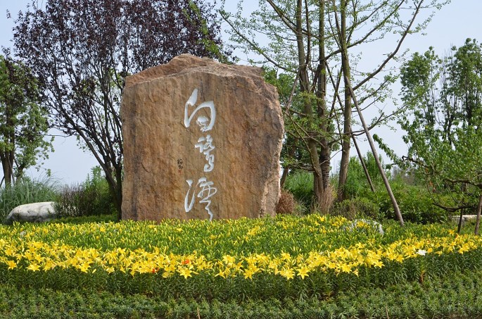 成都智絡軟件7月戶外拓展活動 成都智絡軟件7月戶外拓展活動