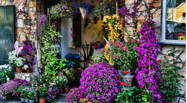 智絡(luò)會員管理系統(tǒng) 智絡(luò)會員管理系統(tǒng)